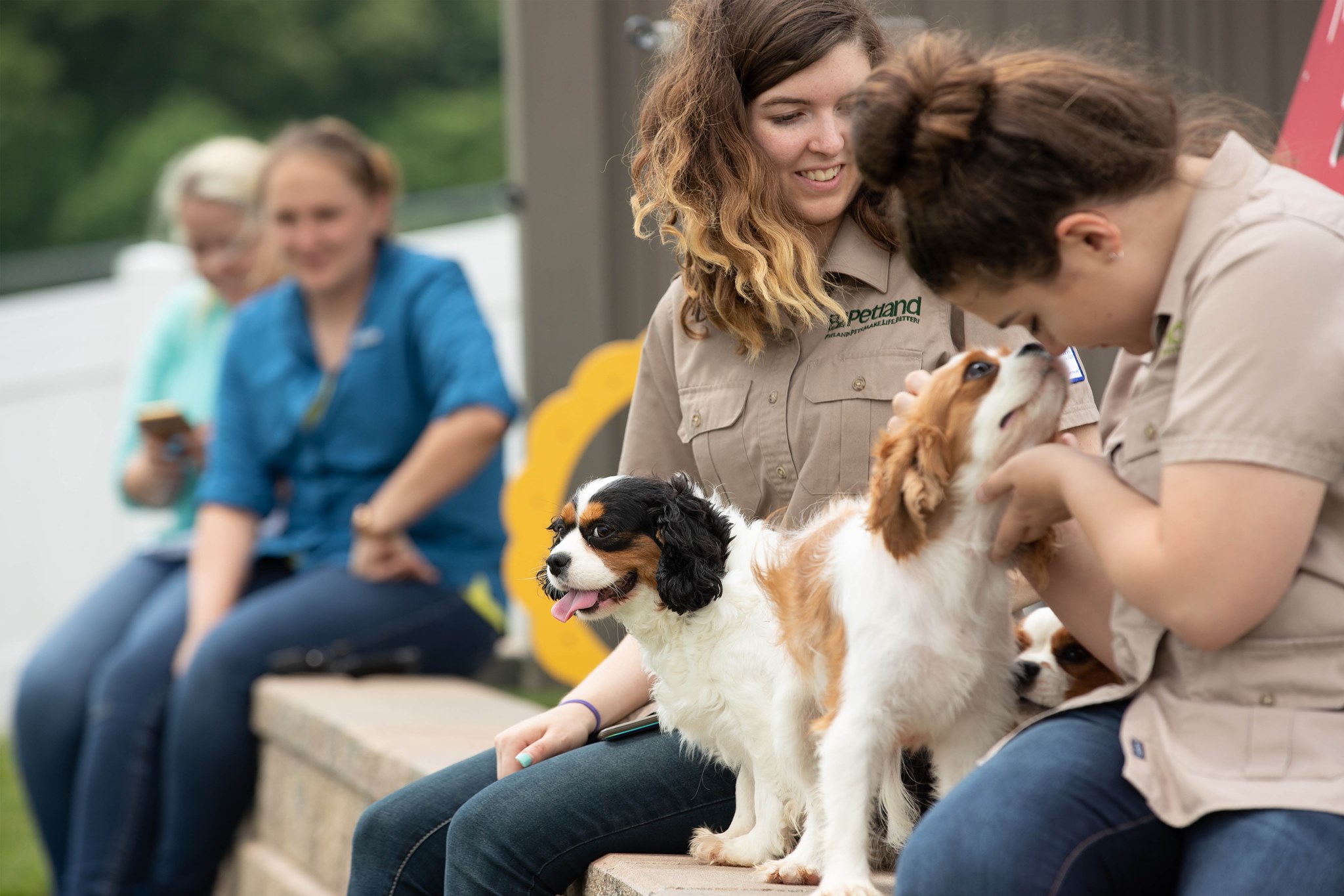 Chillicothe Based Petland Announces Expansion into Nier Spec Building; Addition of 21 New Jobs