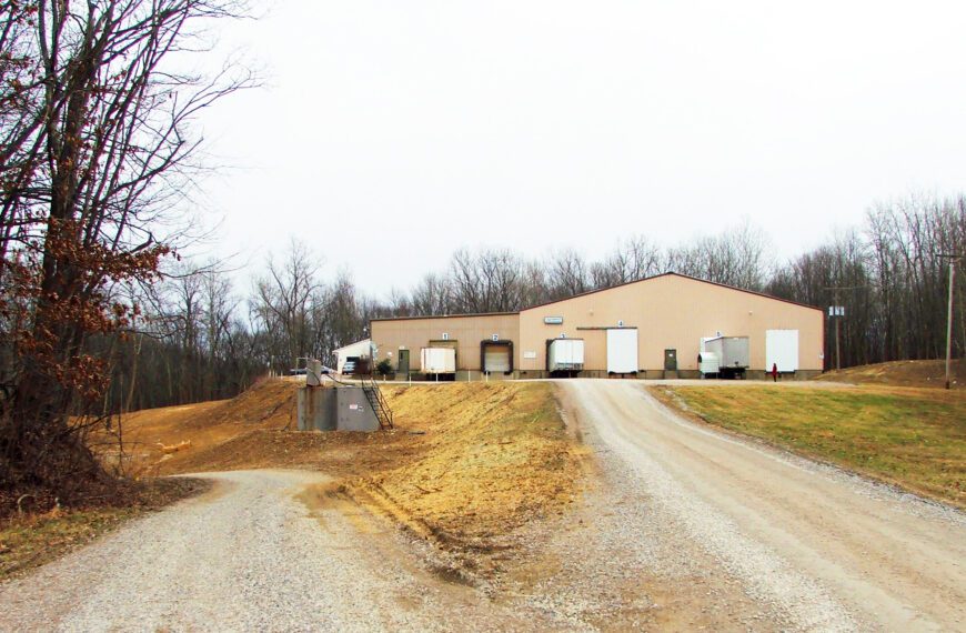 Exterior plant photo with gravel driveways